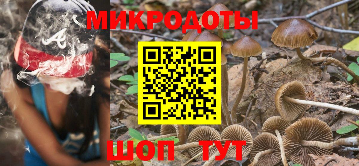 Псилоцибиновые грибы MAGIC MUSHROOMS Екатеринбург