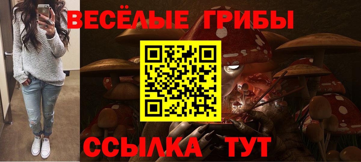 Псилоцибиновые грибы GOLDEN TEACHER  Вход с VPN  Екатеринбург  Галлюциногенные грибы Cubensis 